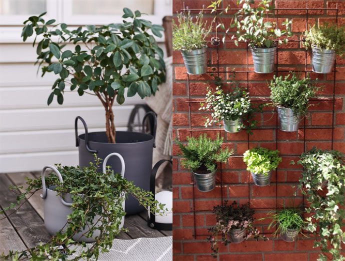 Collage av två uteplatser: en med en växt i kruka och med vägghängda växter