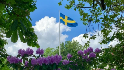 Svensk flagga bland sommargrönska